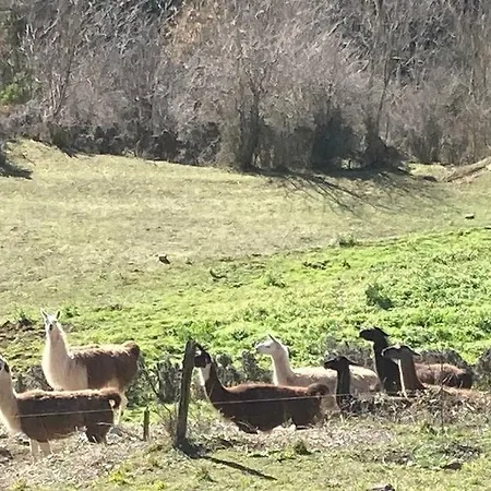 Lejlighed Cocoon 52 M2 New, Beautiful View Castle And Mountain